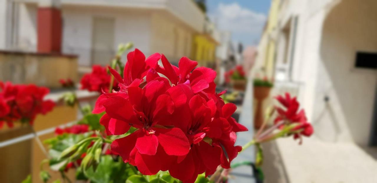 كونفيرسانو Cupersanum B&B المظهر الخارجي الصورة