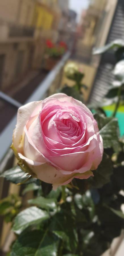 كونفيرسانو Cupersanum B&B المظهر الخارجي الصورة